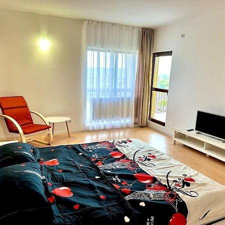 Apartament Novara 21 Craiova Kültér fotó